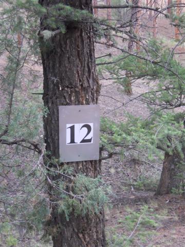 #12 Tee Marker